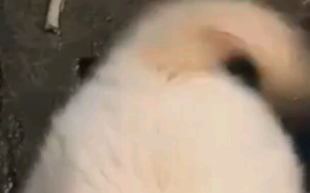 Hei, hei, hei~