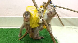 The three naked monkeys have fun after shower