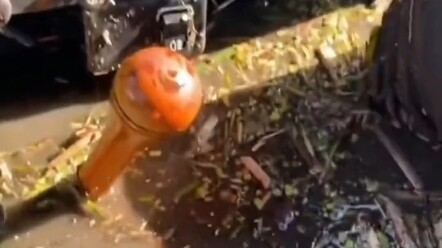 I have no idea what the heck you guys booked.