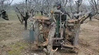 这拔树机鲁智深看了，直呼内行