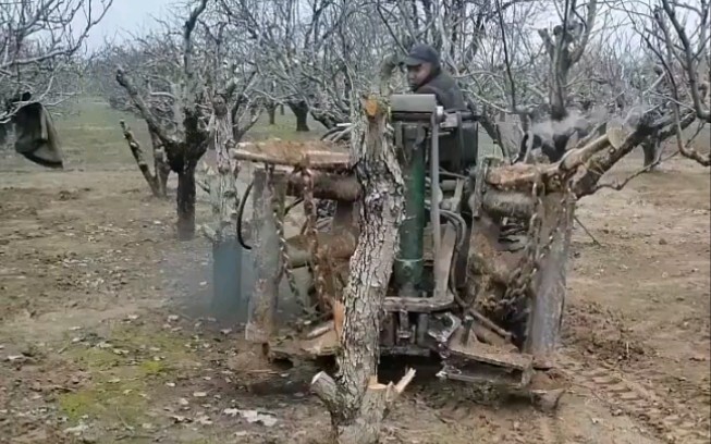 عندما رأى لو تشي شين آلة اقتلاع الأشجار هذه، صاح على الفور: "هذا عمل محترف!"