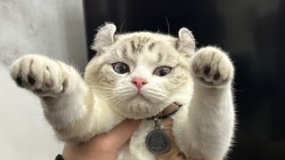 Mimi à Mimi~