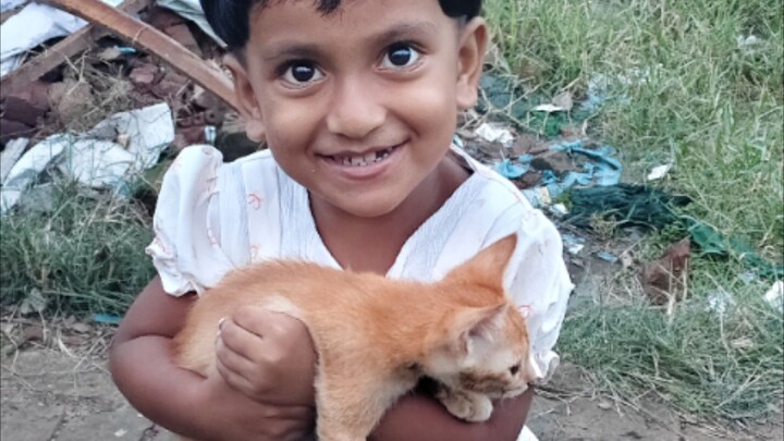 sirat playing cat