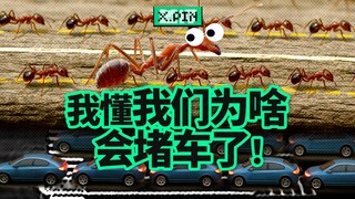 After watching Ants Moving, I seem to understand why we are always stuck in traffic... [Bad Review]