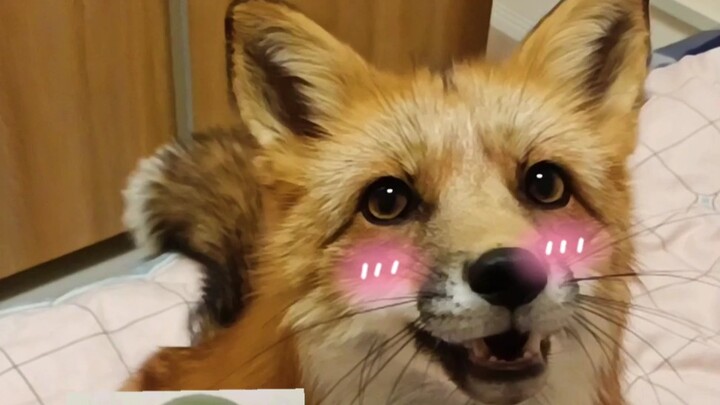 Người xưa nói đúng thật, IQ cao thì thấu hiểu lòng người! Thật sự là nghe gì cũng hiểu.