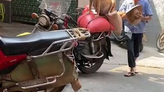 ông nội có trách nhiệm nhất quả đất 😂😂