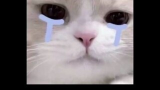 Whose grandpa or dad is this again? Feels so sorry.