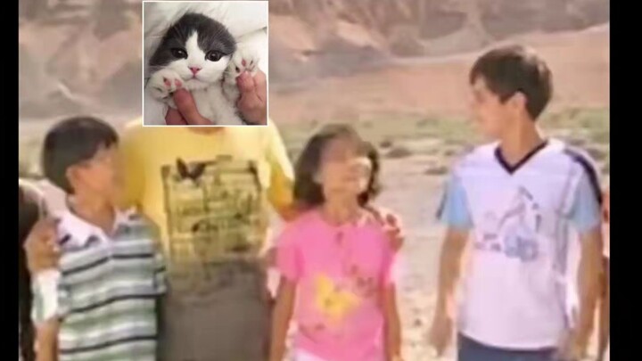 【Vương Hỷ Thuận】Chúng ta cùng đối lại, đối lại nào!