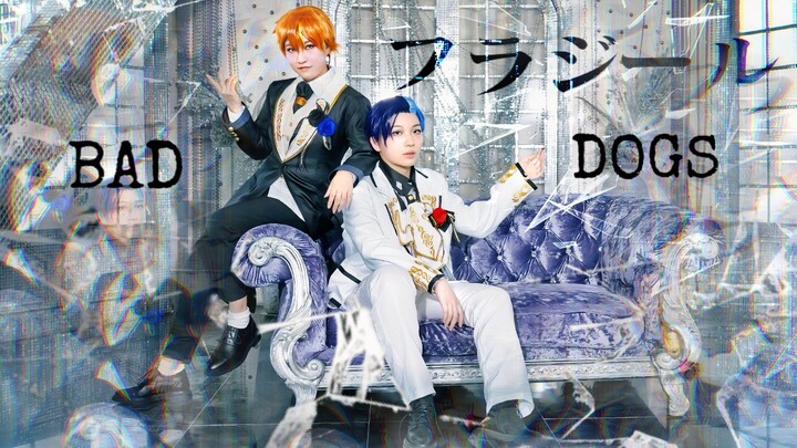 【青柳冬弥生贺】坏狗の婚活?!Fragile/フラジール踊ってみた4K【BAD DOGS】