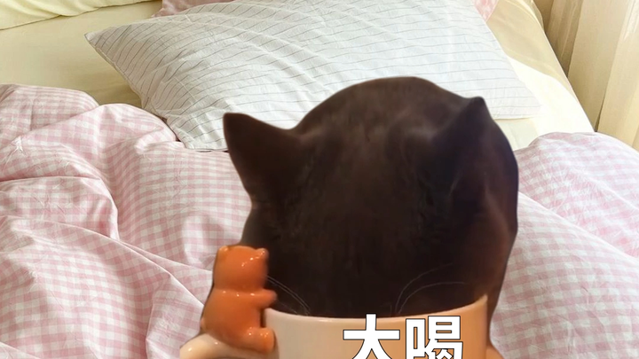 The Current Situation of College Students on Break at Home!