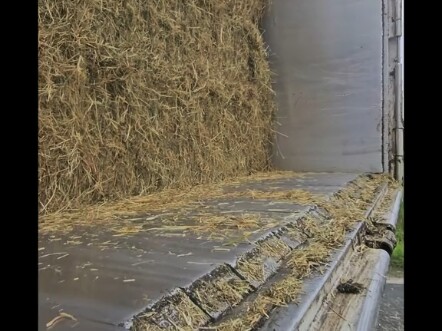 Otomatis memang bagus