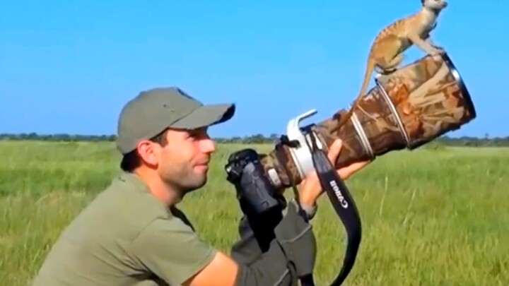 “Fotografer Satwa Liar dan Hewan-Hewannya”