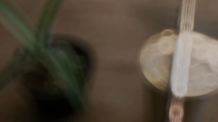 Namanya juga hewan eh kawan maksudnya