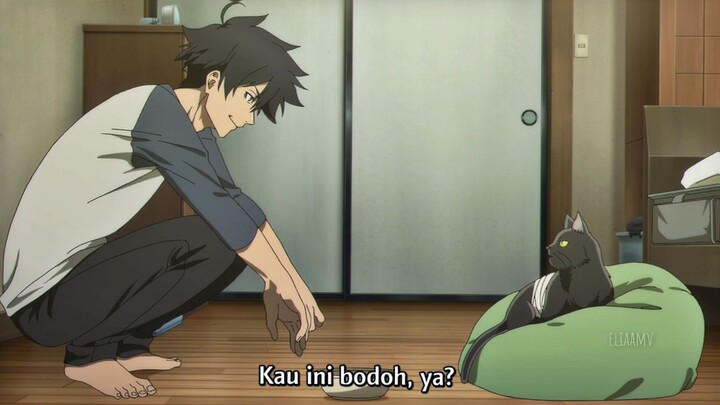 Kocak Banget 😭‼️Kucingnya Kaget Majikanya Ngerti Bahasa Hewan