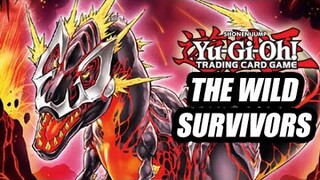 The REAL Wild Survivors Of Yu-Gi-Oh!
