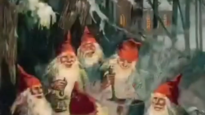 Europe vs. the Americas: A Battle of Forests