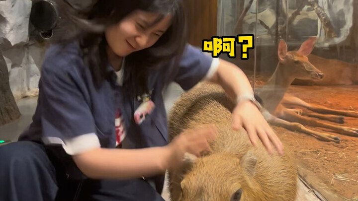 صديقتُي المقرّبة كانت تخبّئ عني الأمر… وتعمل في حديقة الحيوان!