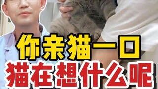 Con mèo nghĩ gì khi bạn hôn nó?