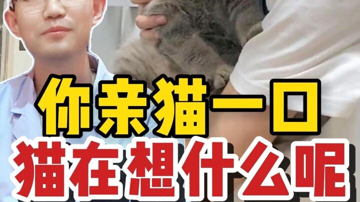 你亲猫一口，猫会怎么想？