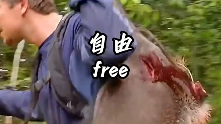 男生减速带！！