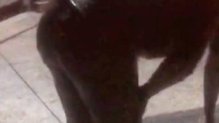 I originally planned to go into the sea to catch mudskippers, but ended up becoming one myself—firef