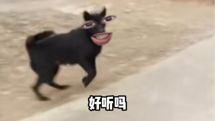 Hay thì chính là đầu hay