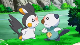 pokemon Oshawott và những gì DỄ THƯƠNG NHẤT