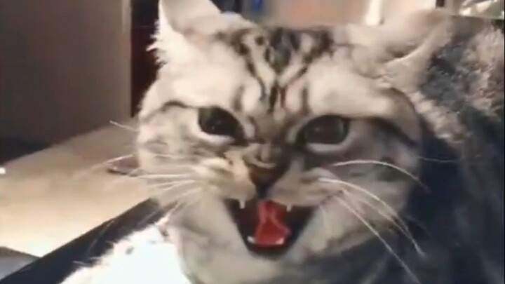 You on Monday after work vs. you on Friday after work