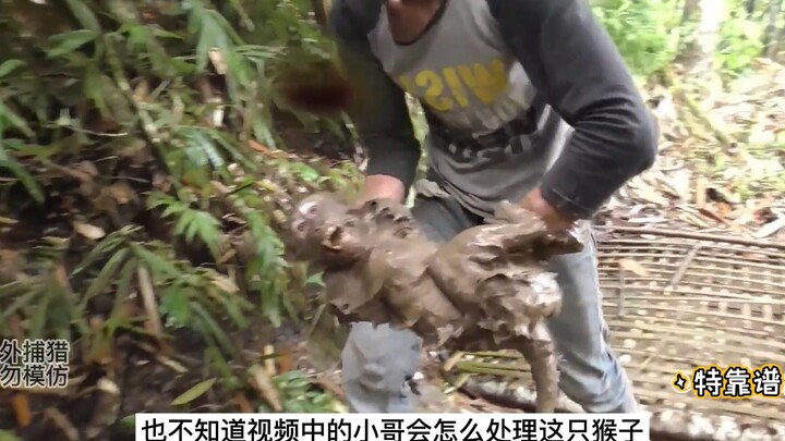 The rascal fell into a trap but still tried to fight back—only after getting thoroughly beaten by Hu