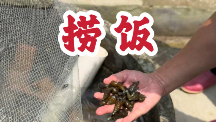 ไปชิงหยวนกินไก่ต้องสั่งข้าวราดซอสด้วยนะ