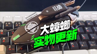 广东宠物！萝播动漫大蟑螂实物更新【模型最前线】高达模型