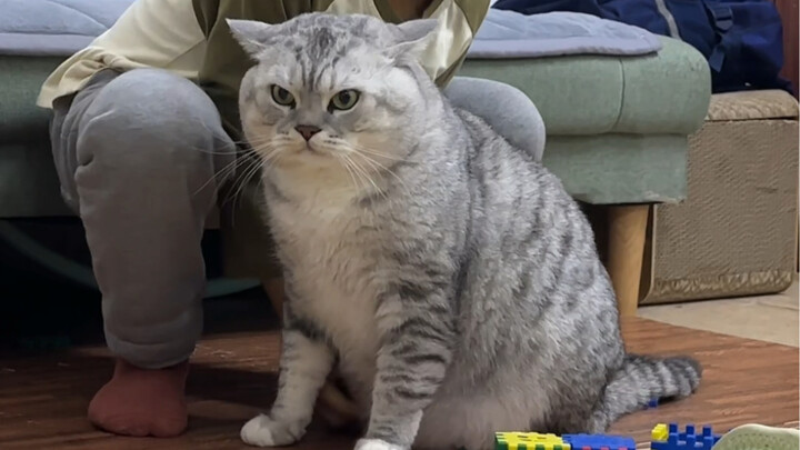 Anh họ của cậu em ôm Đại Tráng