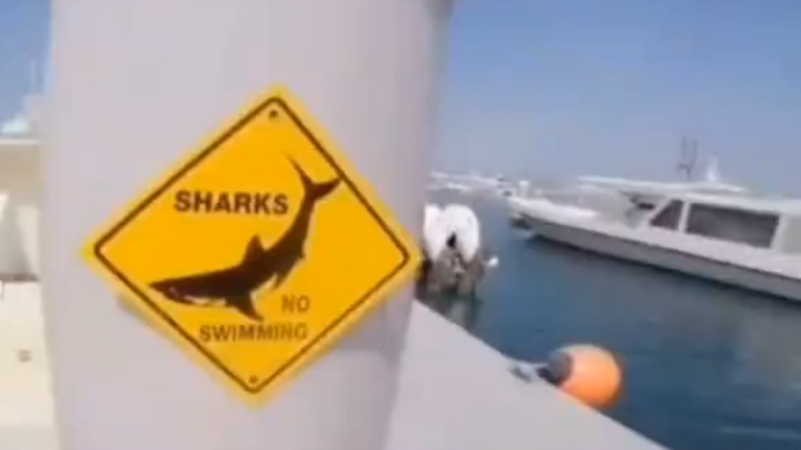 A magical and funny video with tens of millions of views abroad