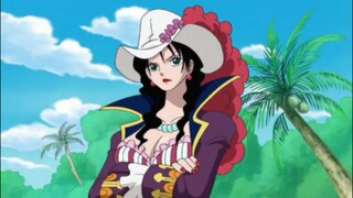 GMV ALVIDA ONE PIECE