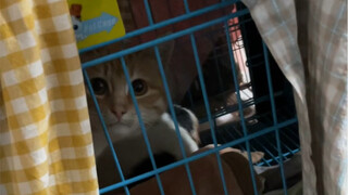 Over 1,000 little lives