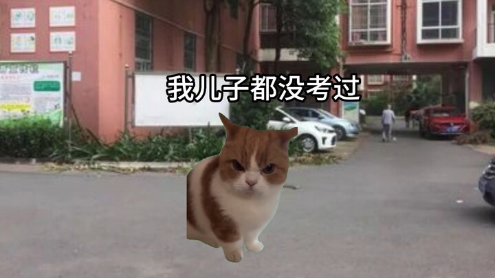 当你考公差政审就能上岸时