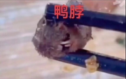 【Trường Cao đẳng Công nghiệp và Kỹ thuật Giang Tây】Xưa có chỉ hươu làm ngựa, nay có chỉ chuột thành 