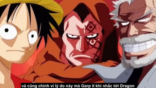 Mẹ của Luffy là người đó và đã từng gặp Luffy (tiếp)