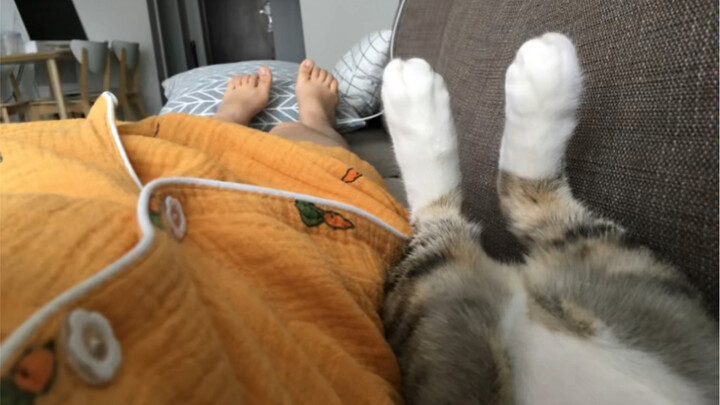 好家伙！从小睡到大，这是拿我当猫窝了！