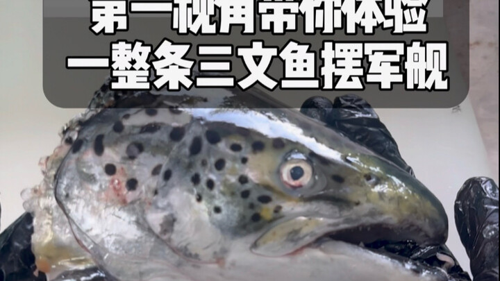 First-person perspective: Let you experience an entire salmon being arranged into a sushi-boat platt