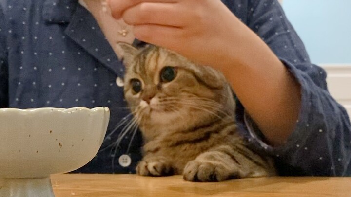 Kapan sih makanannya akan disajikan! Aku sudah tidak sabar lagi!