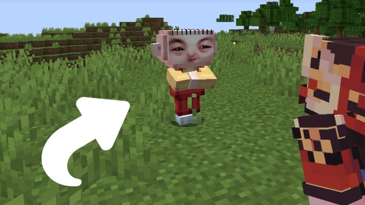 When adding the spy dumplings in the MC server (Player: The tonic is spying on me! 😭😭)