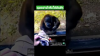 นุษอย่ามั่วฟังให้มันดีๆ