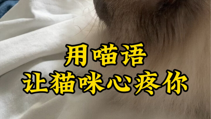 Cat-language tips to melt your kitty’s heart! The more authentic you act, the closer they’ll stick t