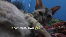 Ira Losigi (ಥ ͜ʖಥ) aka IRA SUGIGI/G