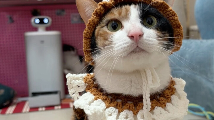 If you act cute, I'll feed you.