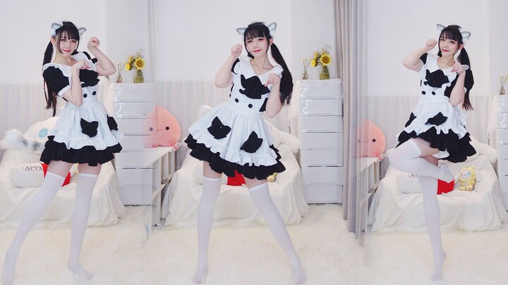 这只小猫咪把自己关家里了，不如我们……ฅ’ω’ฅ