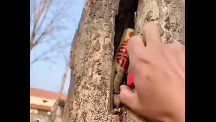 คนชั่วยังต้องถูกคนชั่วรุ่นใหม่จัดการ