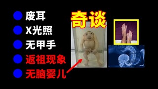 【ตอนที่ 13】ผู้คน สิ่งของ และเหตุการณ์แปลกๆ บางอย่าง