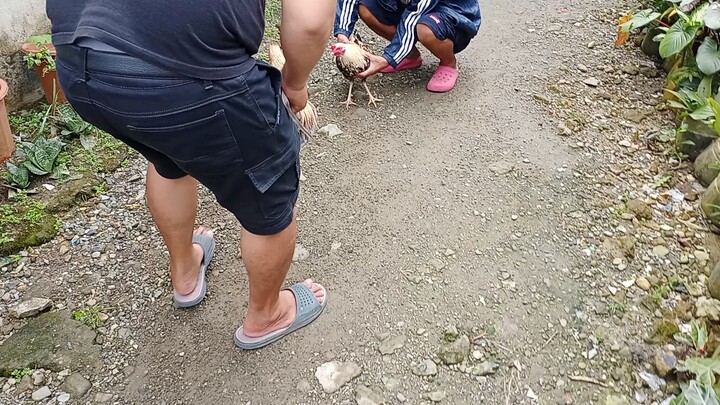 unang spar parihas 6 months old para ma exercise